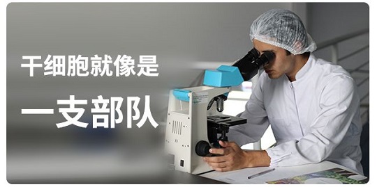 間充質干細胞存儲