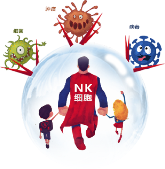 NK干細(xì)胞存儲有什么用
