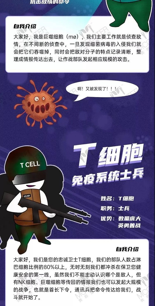 免疫細(xì)胞存儲就選漢氏聯(lián)合