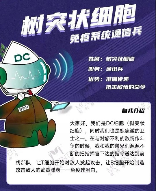 干細(xì)胞抗衰
