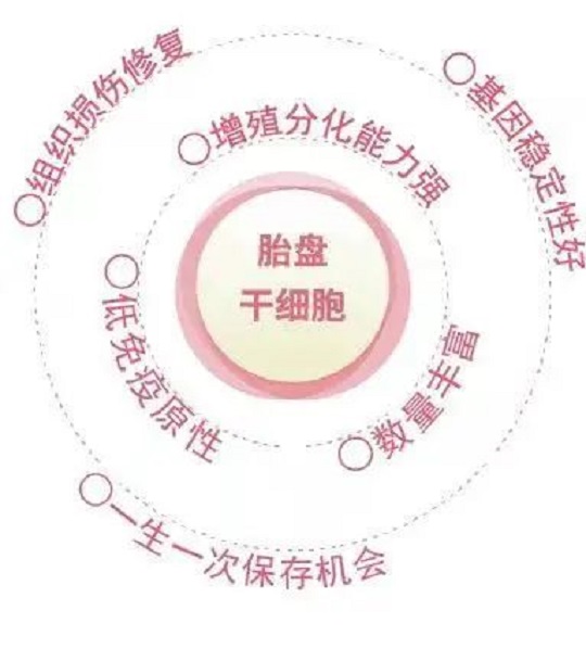 漢氏聯(lián)合免疫細胞存儲