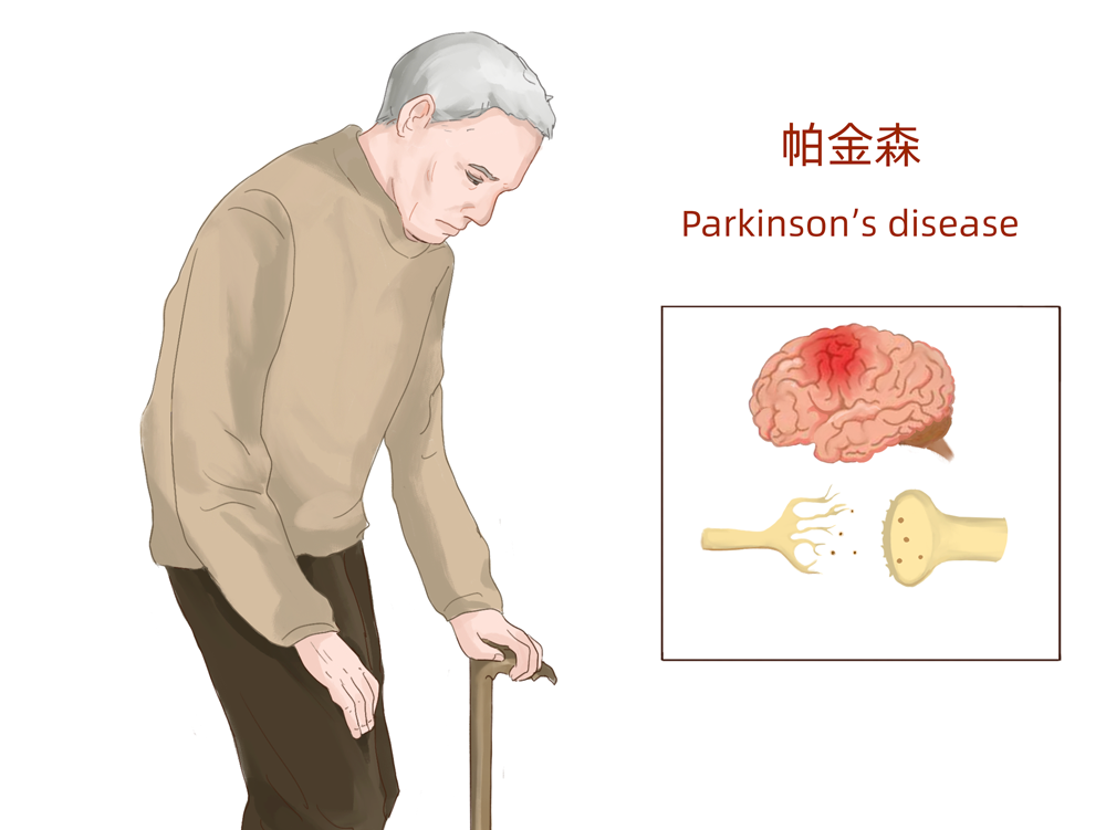 漢氏聯(lián)合 存儲胎盤干細胞 存儲健康