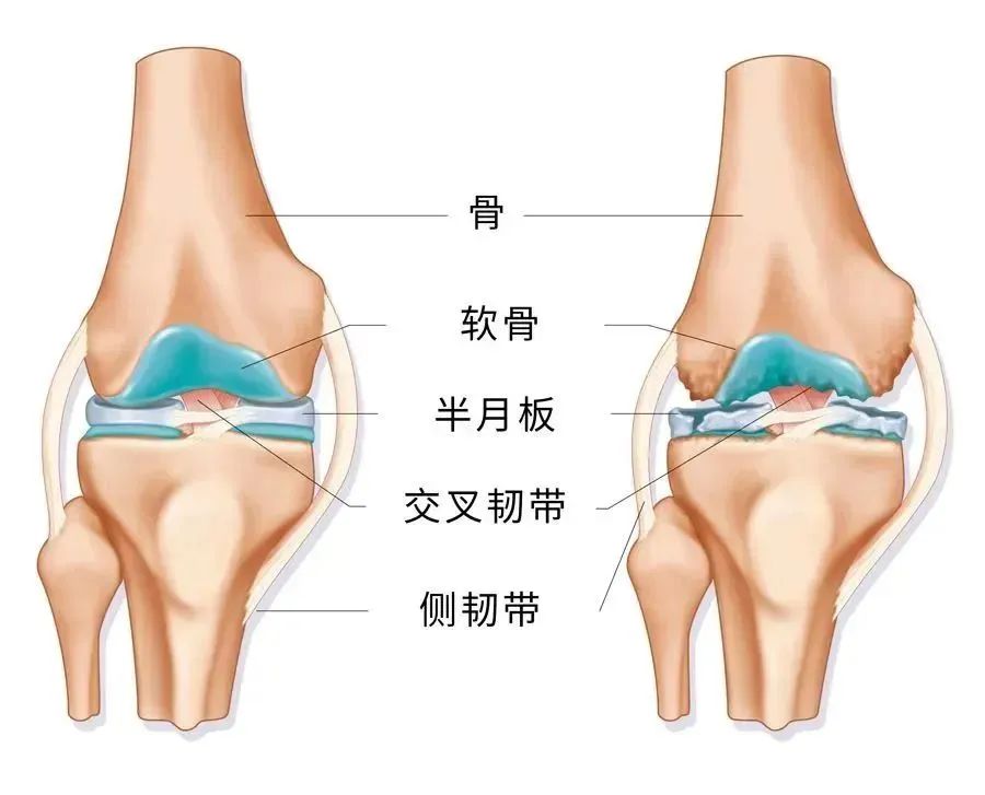 胎盤干細(xì)胞存儲(chǔ)首選漢氏聯(lián)合